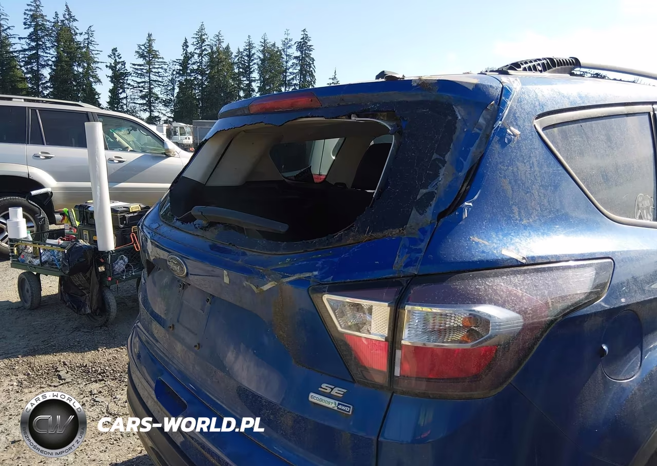 2017 Ford Escape Se VIN:1FMCU9G95HUD11420 - 19
