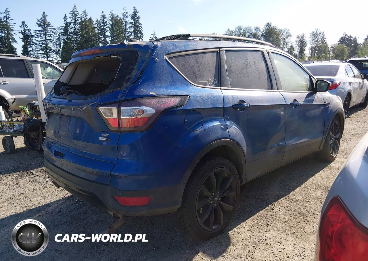 2017 Ford Escape Se VIN:1FMCU9G95HUD11420 - 4