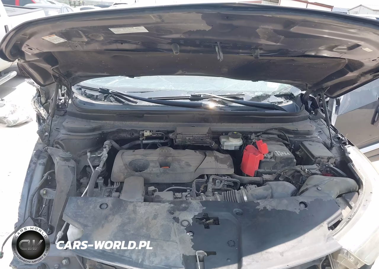 2019 Acura Rdx Standard VIN:5J8TC1H34KL025012 - 10