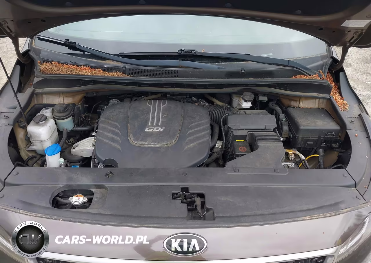 2017 Kia Sedona Lx VIN:KNDMB5C18H6318454 - 10