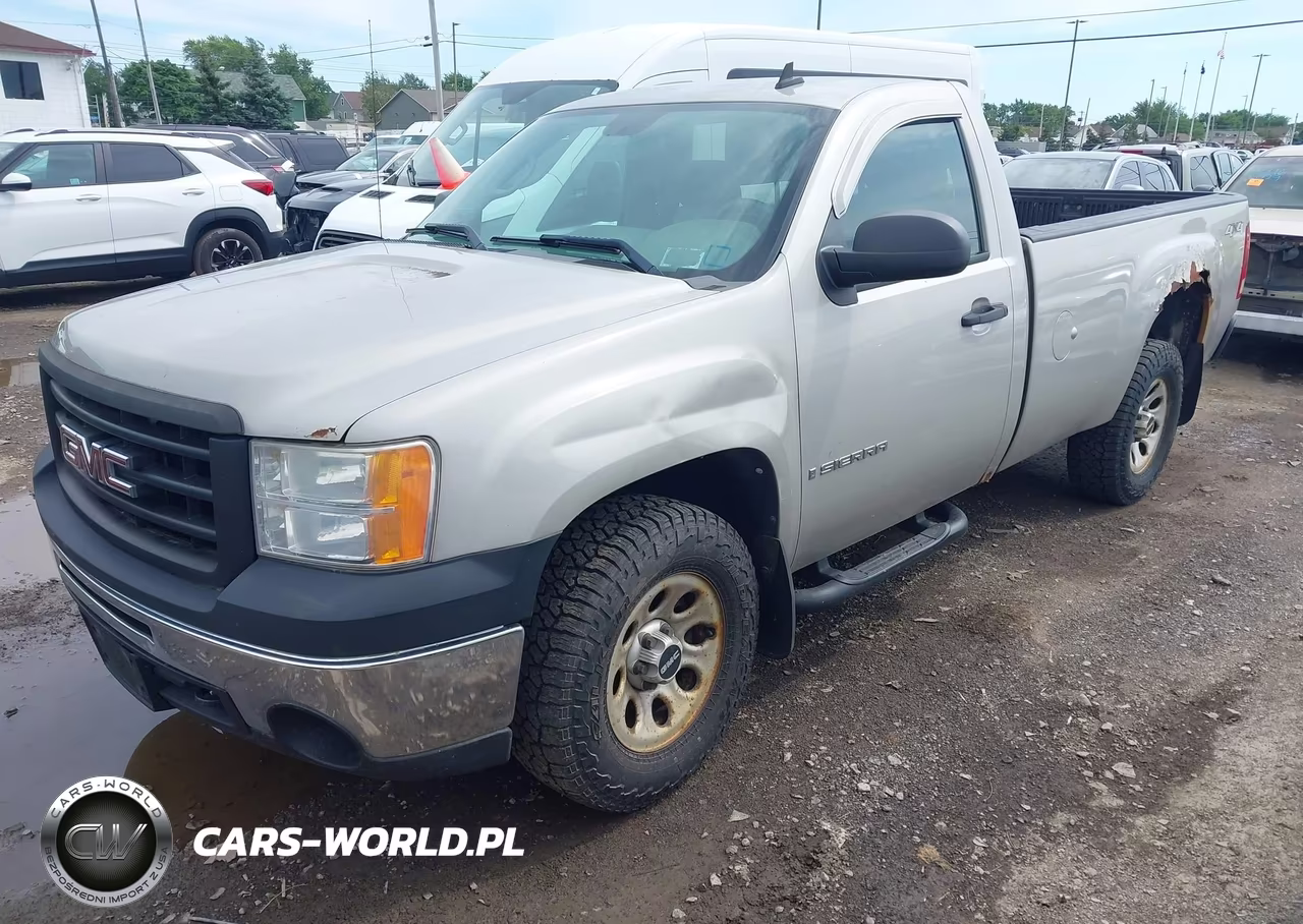 2009 GMC Sierra 1500 Work Truck VIN:1GTEK14069Z175717 - 2