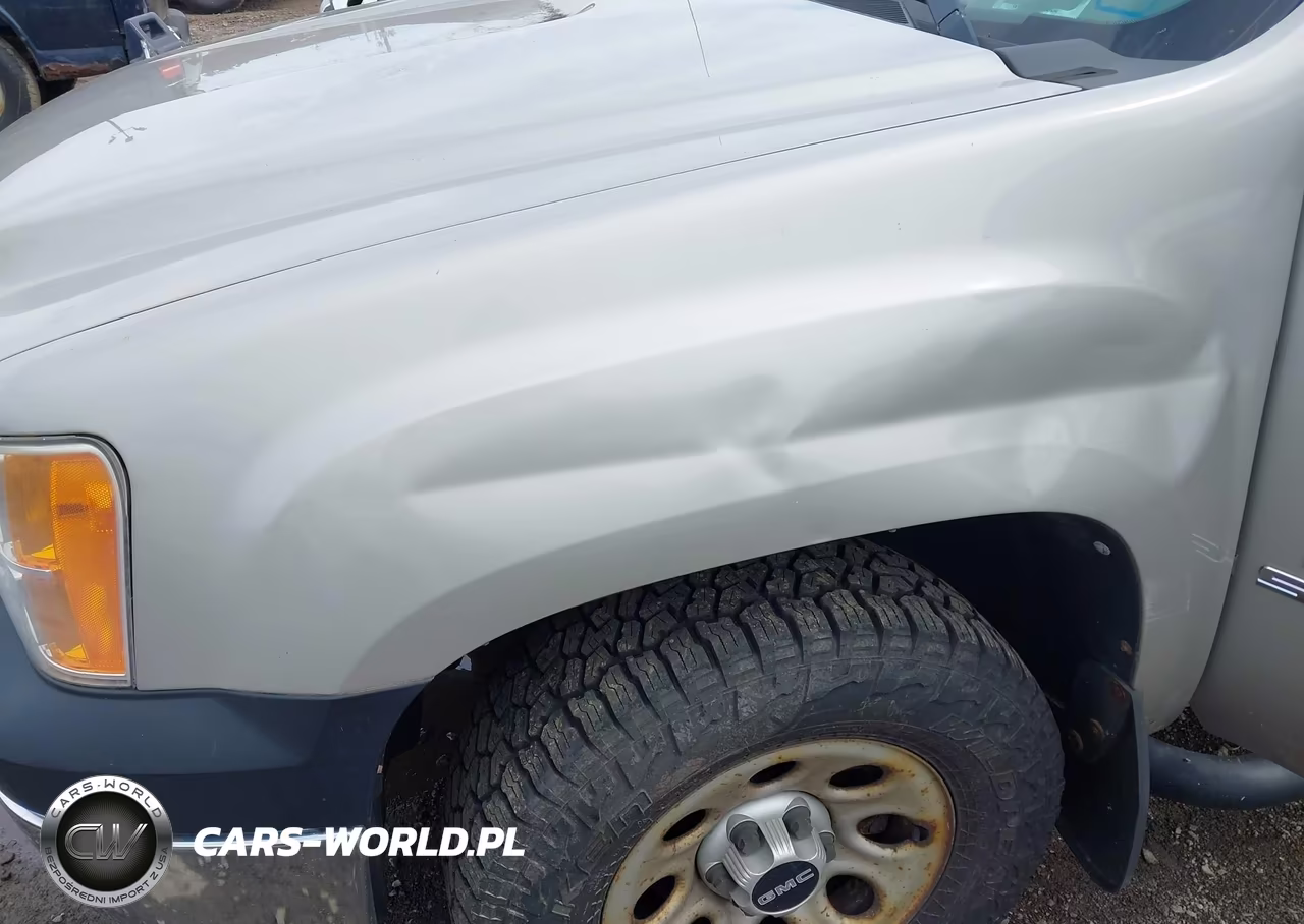 2009 GMC Sierra 1500 Work Truck VIN:1GTEK14069Z175717 - 6