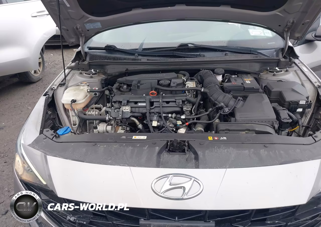 2021 Hyundai Elantra N Line VIN:KMHLR4AF3MU173521 - 10
