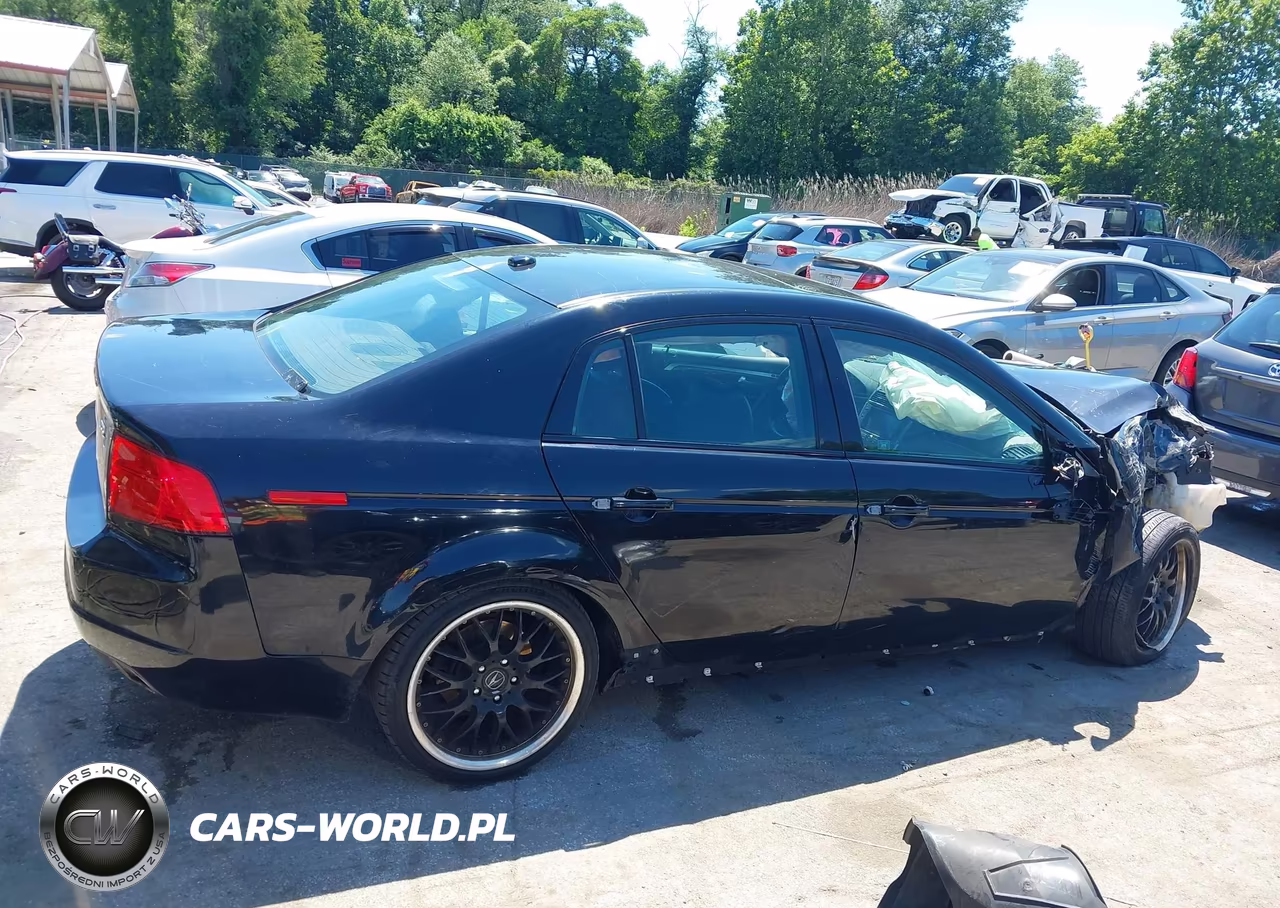 2004 Acura Tl VIN:19UUA66214A019717 - 19