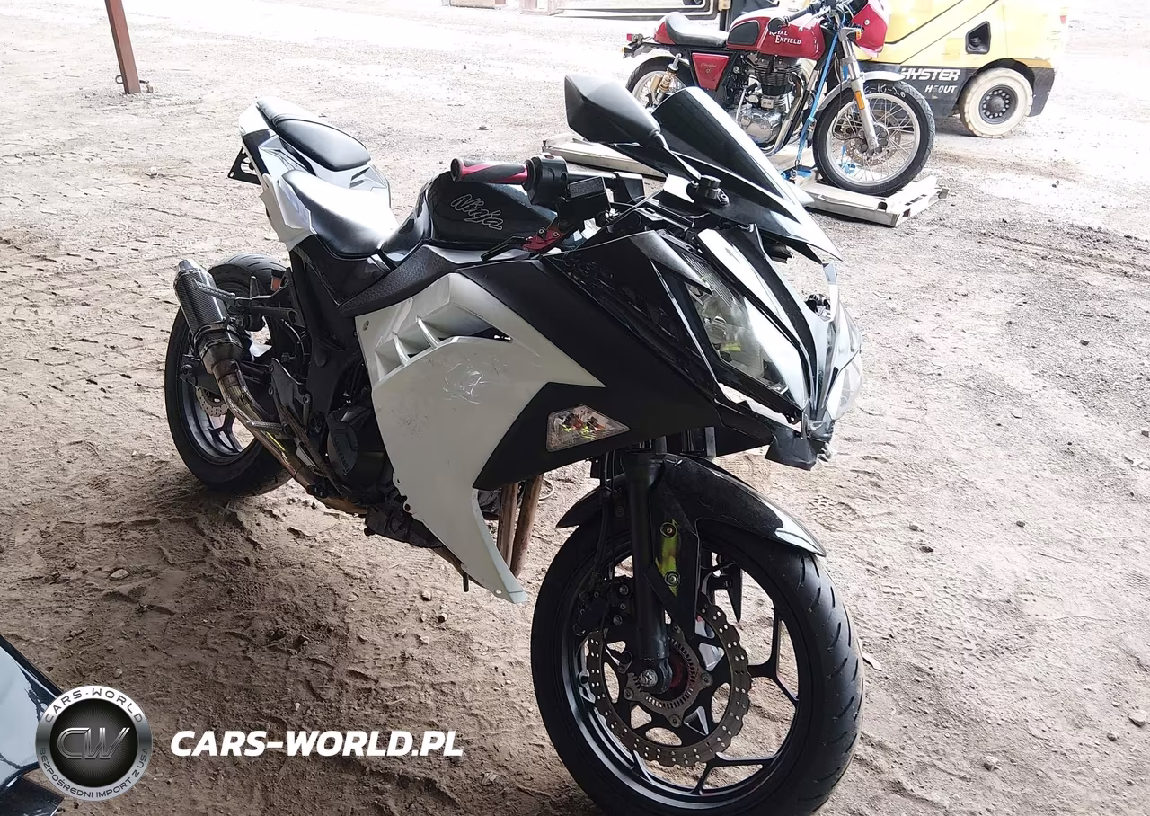2014 Kawasaki Ex300 B – zdjęcie 1 z 15