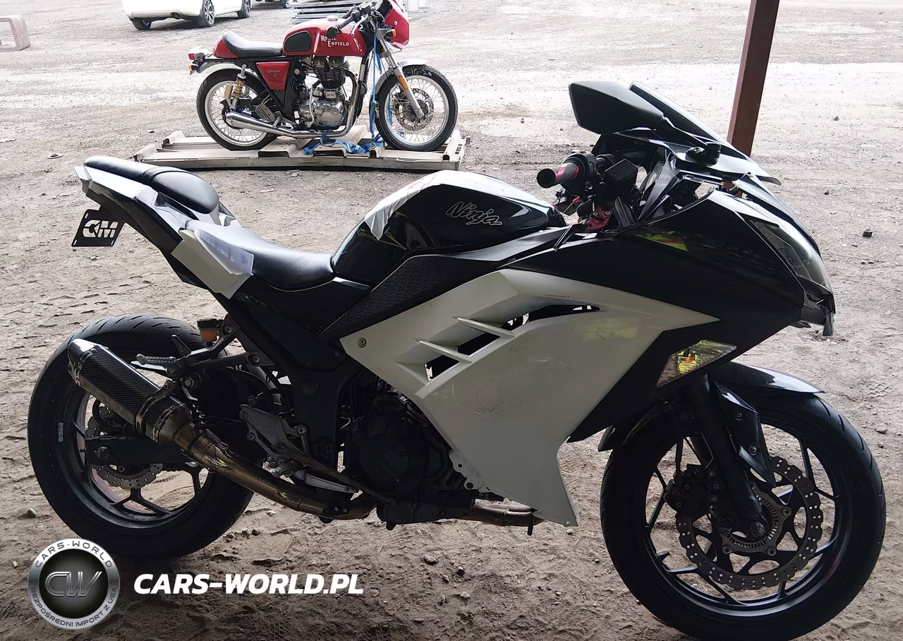 2014 Kawasaki Ex300 B VIN:JKAEX8B19EDA06429 - 12