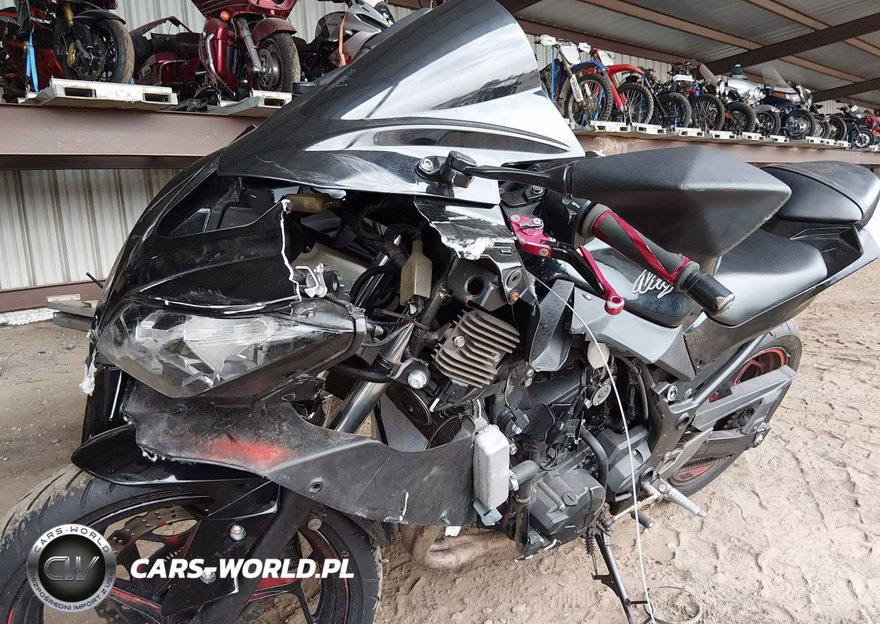 2014 Kawasaki Ex300 B VIN:JKAEX8B19EDA06429 - 14