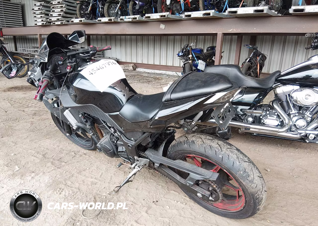 2014 Kawasaki Ex300 B VIN:JKAEX8B19EDA06429 - 3