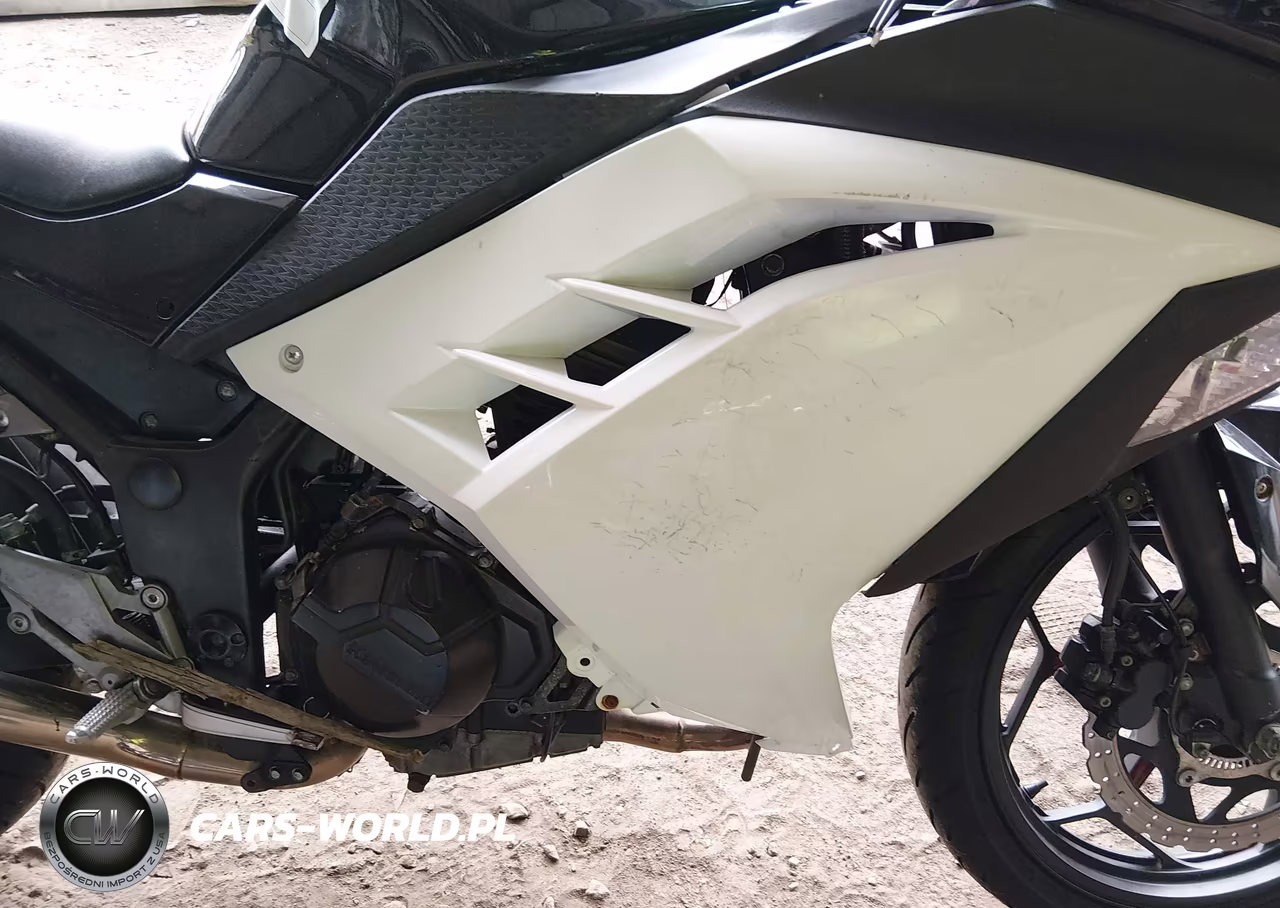 2014 Kawasaki Ex300 B VIN:JKAEX8B19EDA06429 - 8