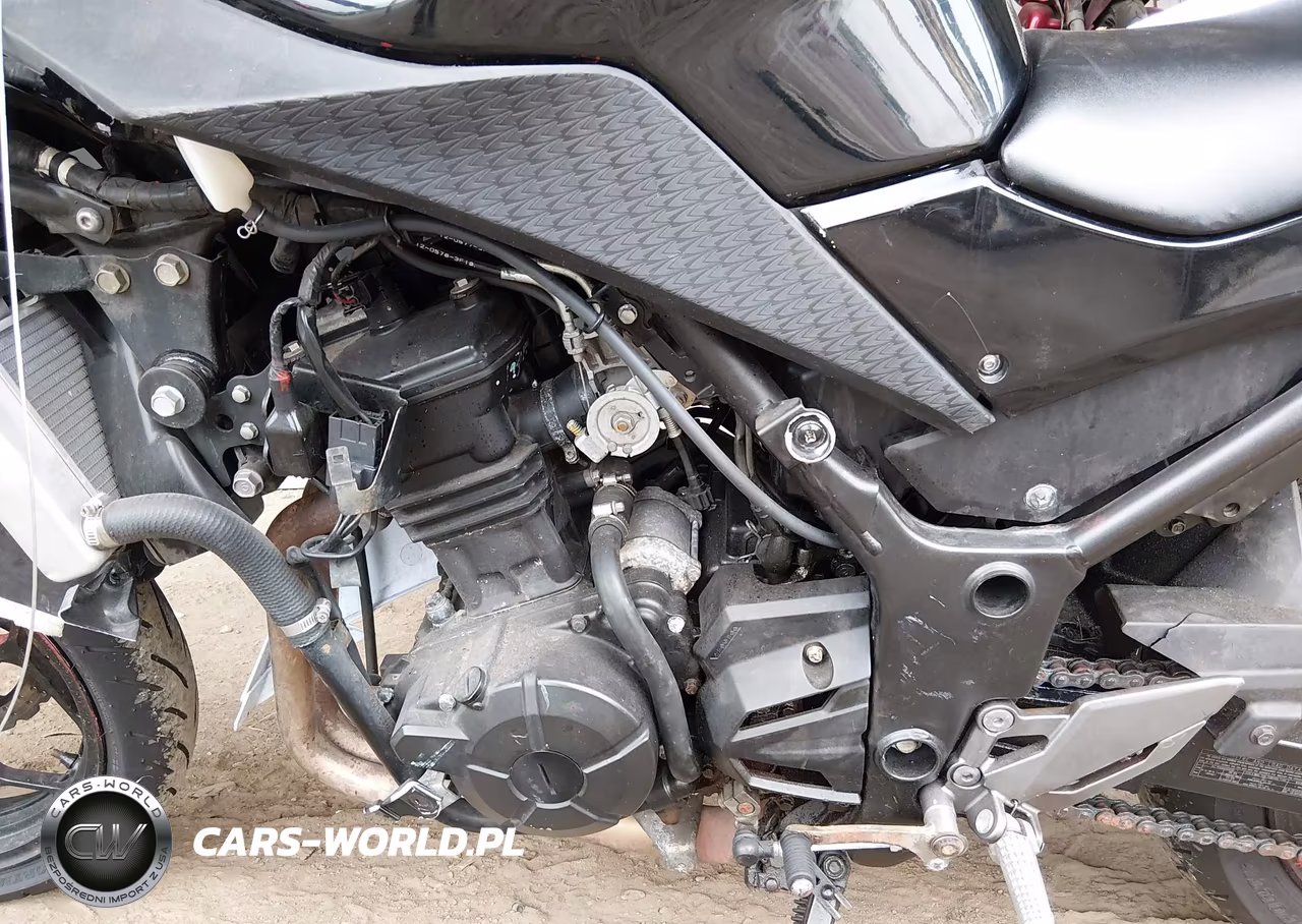 2014 Kawasaki Ex300 B VIN:JKAEX8B19EDA06429 - 9