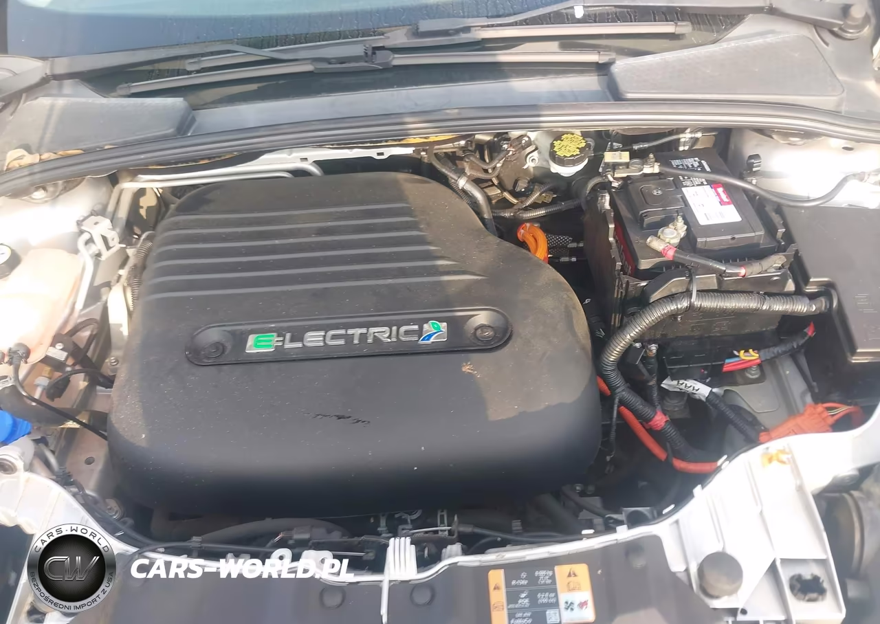 2013 Ford Focus Electric VIN:1FADP3R46DL335665 - 10