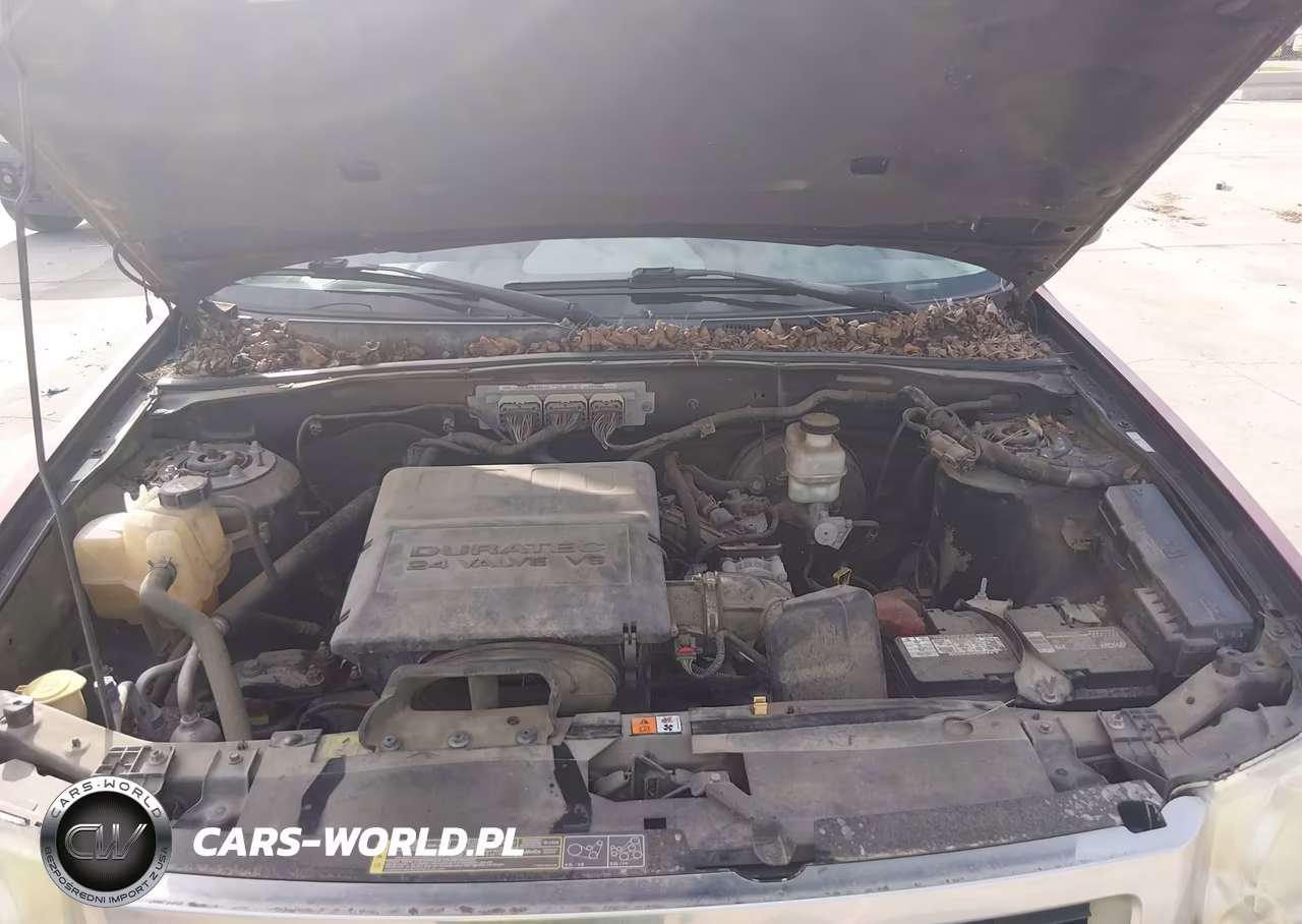 2009 Ford Escape Xlt VIN:1FMCU03G09KC97293 - 10
