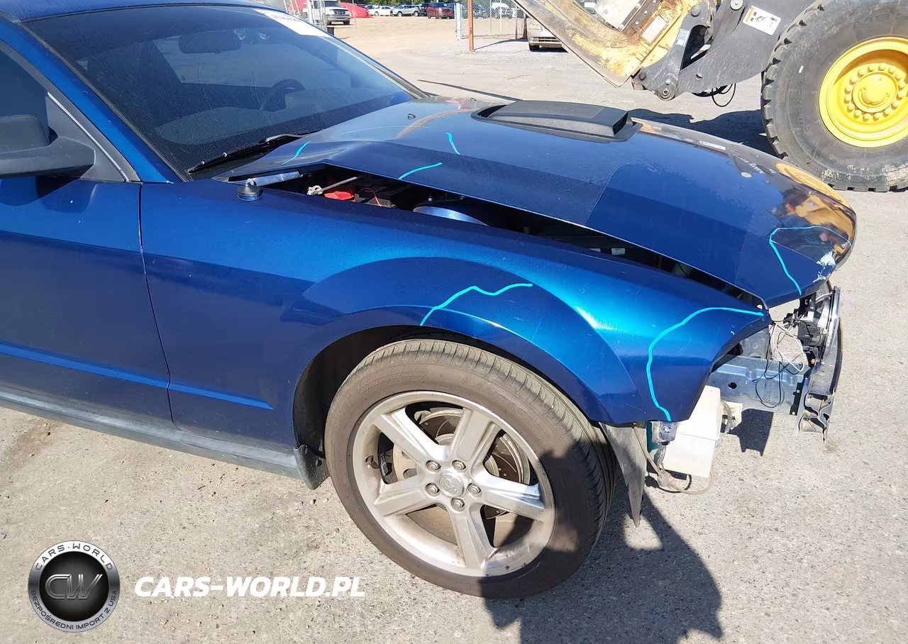 2008 Ford Mustang V6 Deluxe-V6 Premium VIN:1ZVHT80N485206826 - 12