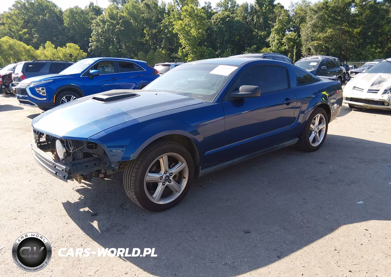 2008 Ford Mustang V6 Deluxe-V6 Premium VIN:1ZVHT80N485206826 - 2