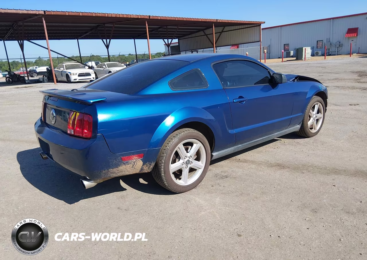 2008 Ford Mustang V6 Deluxe-V6 Premium VIN:1ZVHT80N485206826 - 4