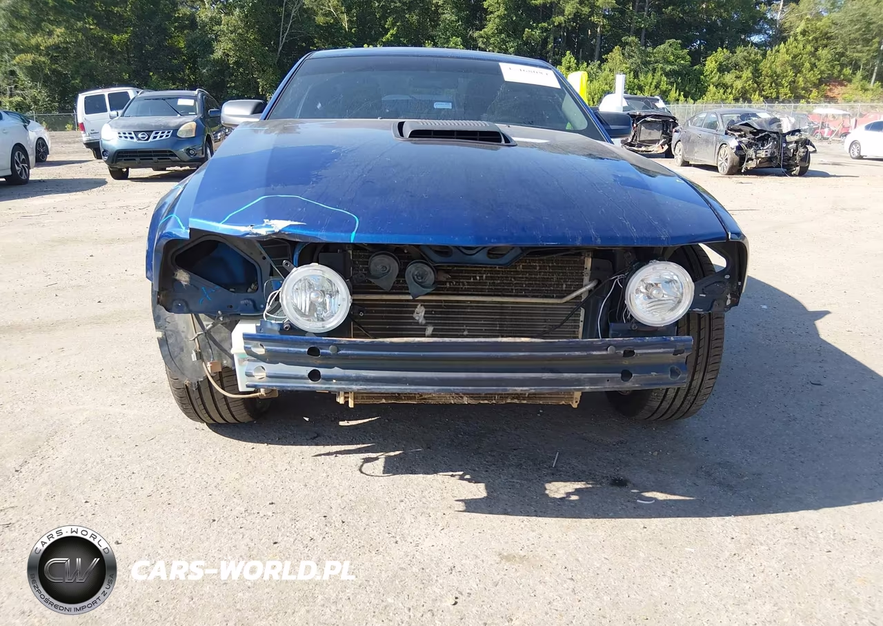 2008 Ford Mustang V6 Deluxe-V6 Premium VIN:1ZVHT80N485206826 - 6