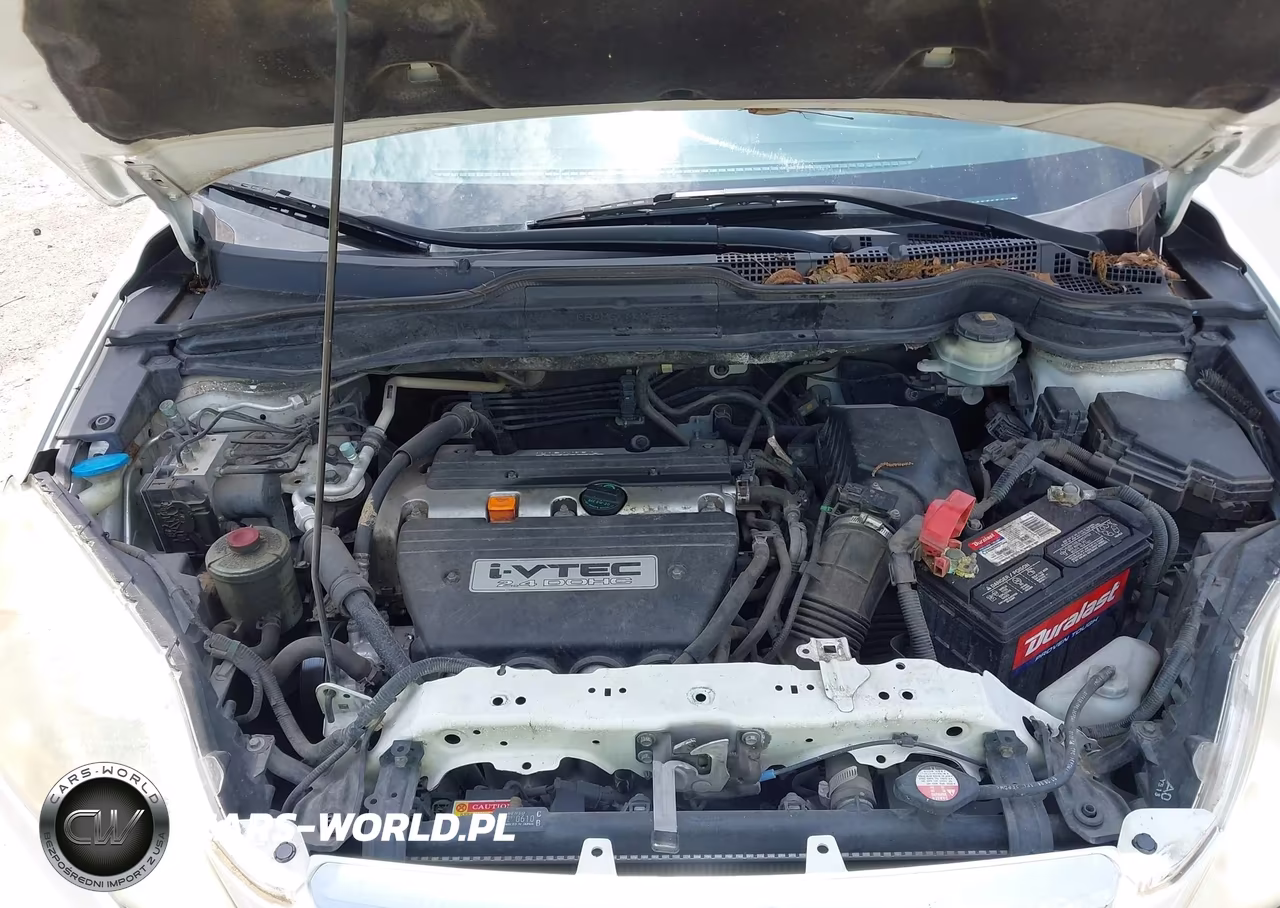 2009 Honda Cr-V Ex-L VIN:JHLRE387X9C013428 - 10