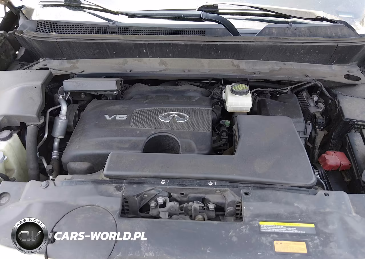 2019 Infiniti Qx60 Luxe VIN:5N1DL0MN3KC524061 - 10