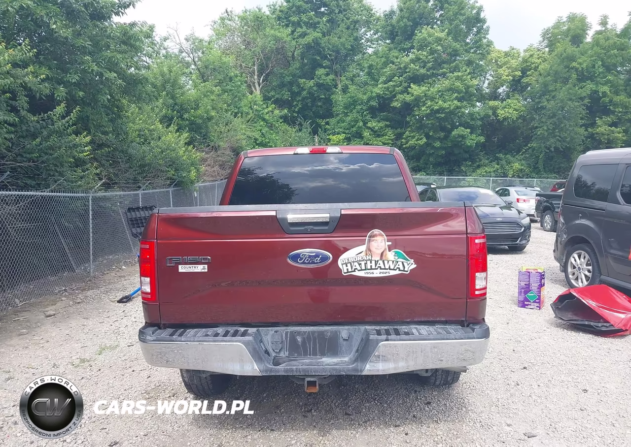 2016 Ford F-150 Lariat-Xl-Xlt VIN:1FTEW1EP9GFA10128 - 16