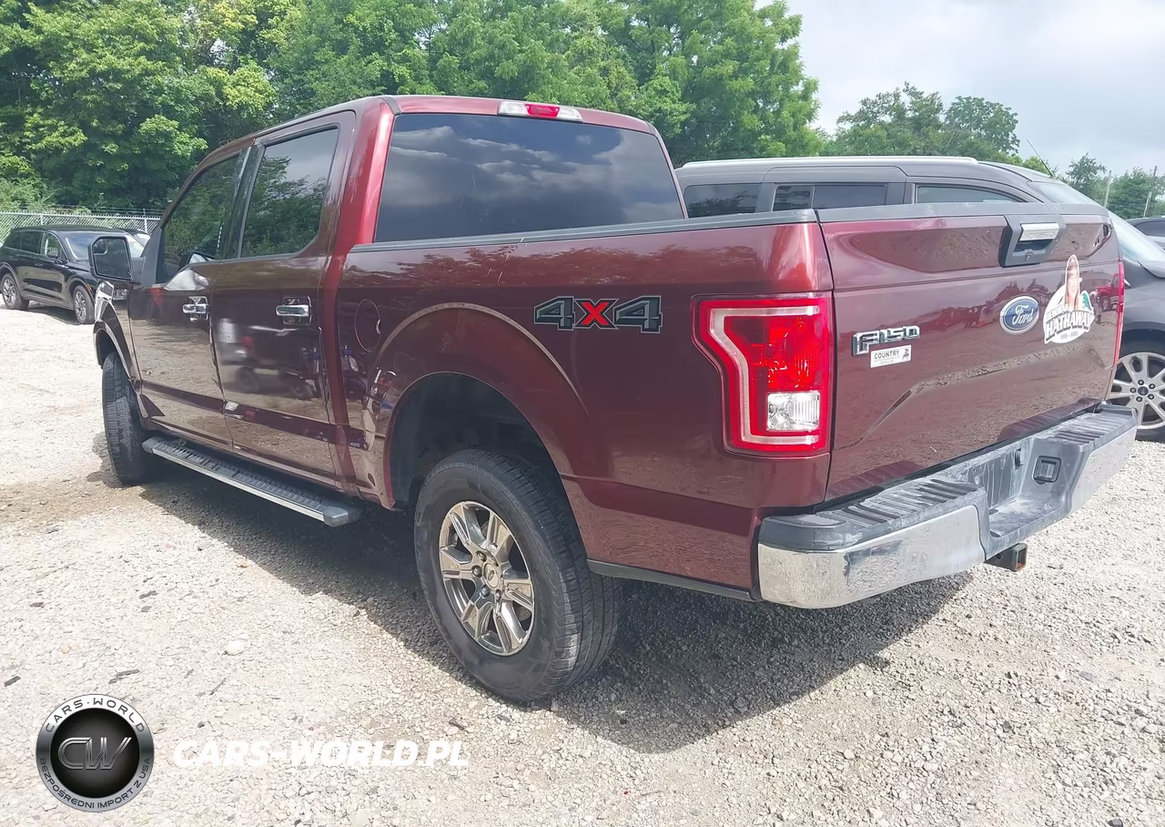 2016 Ford F-150 Lariat-Xl-Xlt VIN:1FTEW1EP9GFA10128 - 3