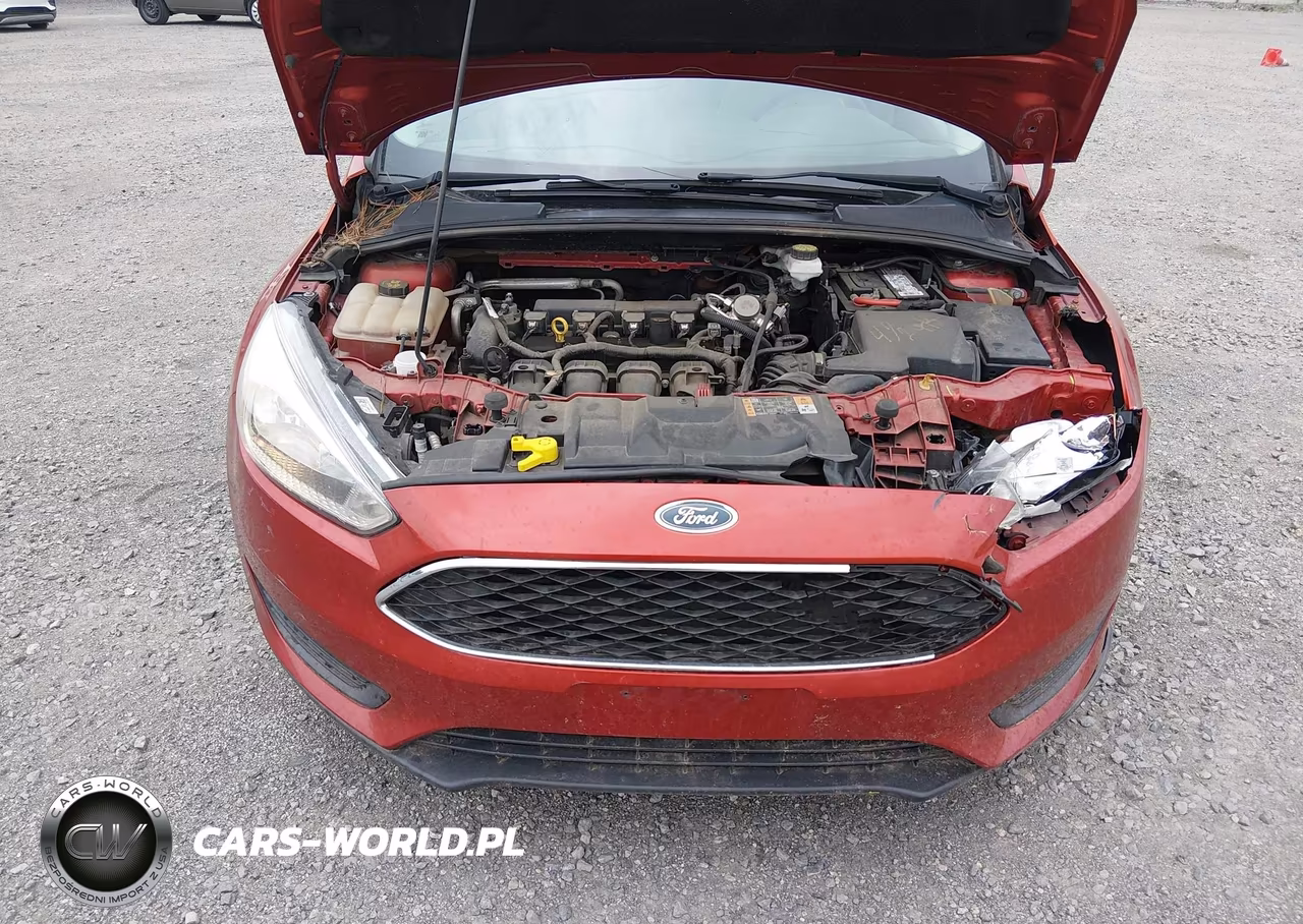 2018 Ford Focus Se VIN:1FADP3F25JL316670 - 10