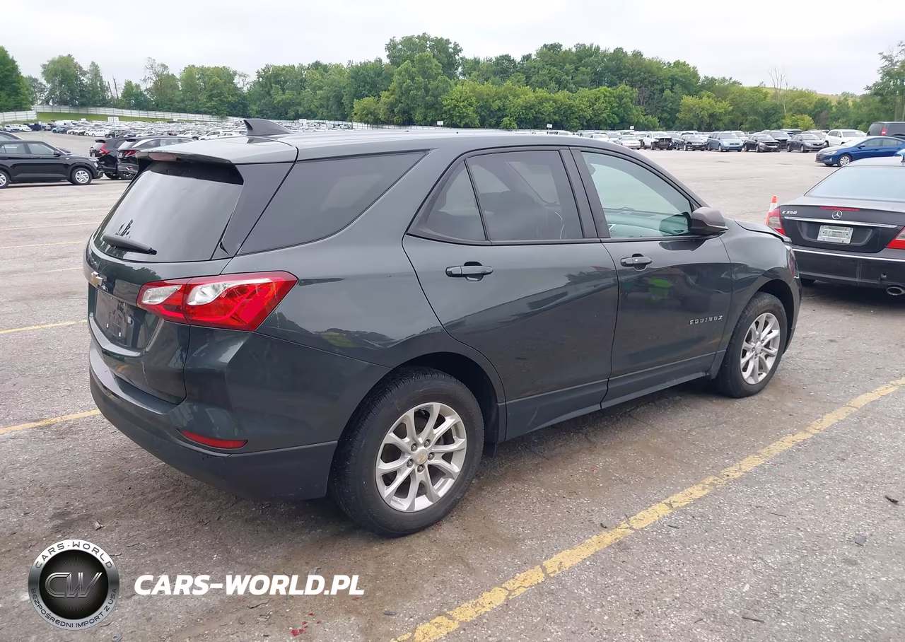 2020 Chevrolet Equinox Fwd Ls VIN:3GNAXHEV0LS594144 - 4