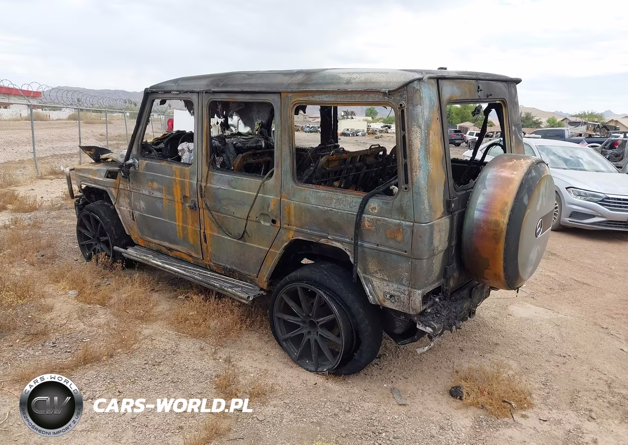 MERCEDES-BENZ G 550 VIN:WDCYC3KF2GX256701 - 3