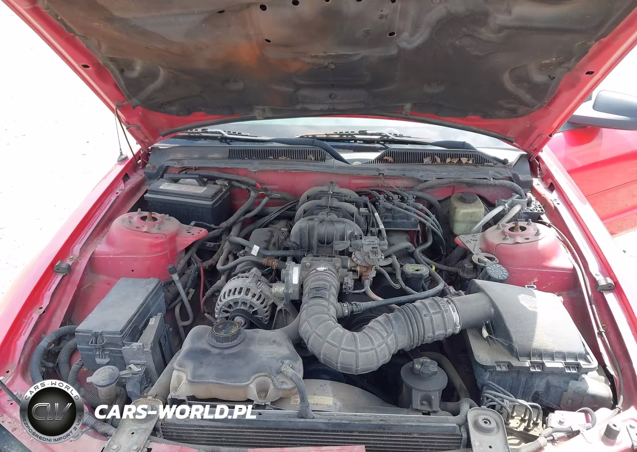 2006 Ford Mustang V6 VIN:1ZVFT84N665189140 - 10