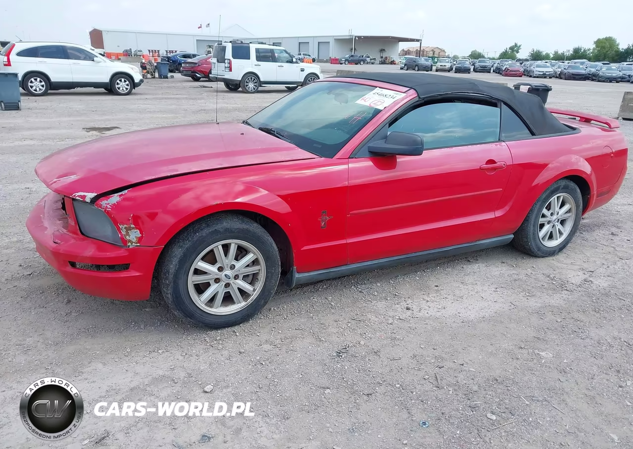 2006 Ford Mustang V6 VIN:1ZVFT84N665189140 - 2