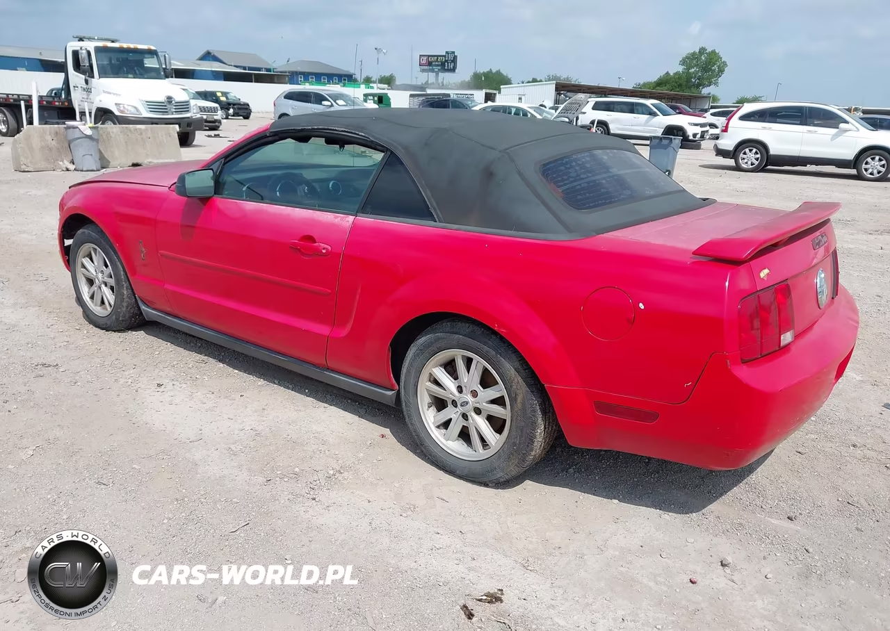 2006 Ford Mustang V6 VIN:1ZVFT84N665189140 - 3