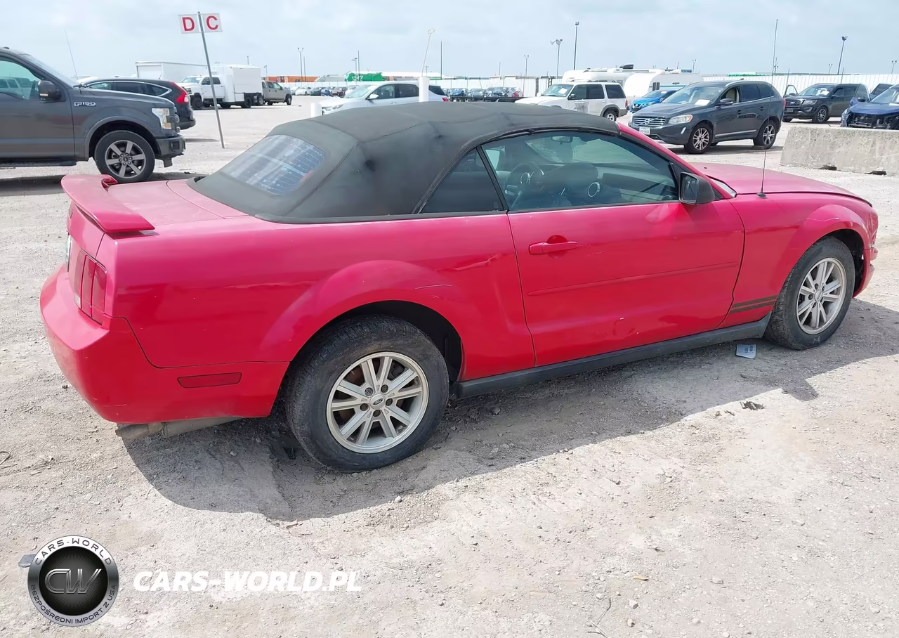 2006 Ford Mustang V6 VIN:1ZVFT84N665189140 - 4