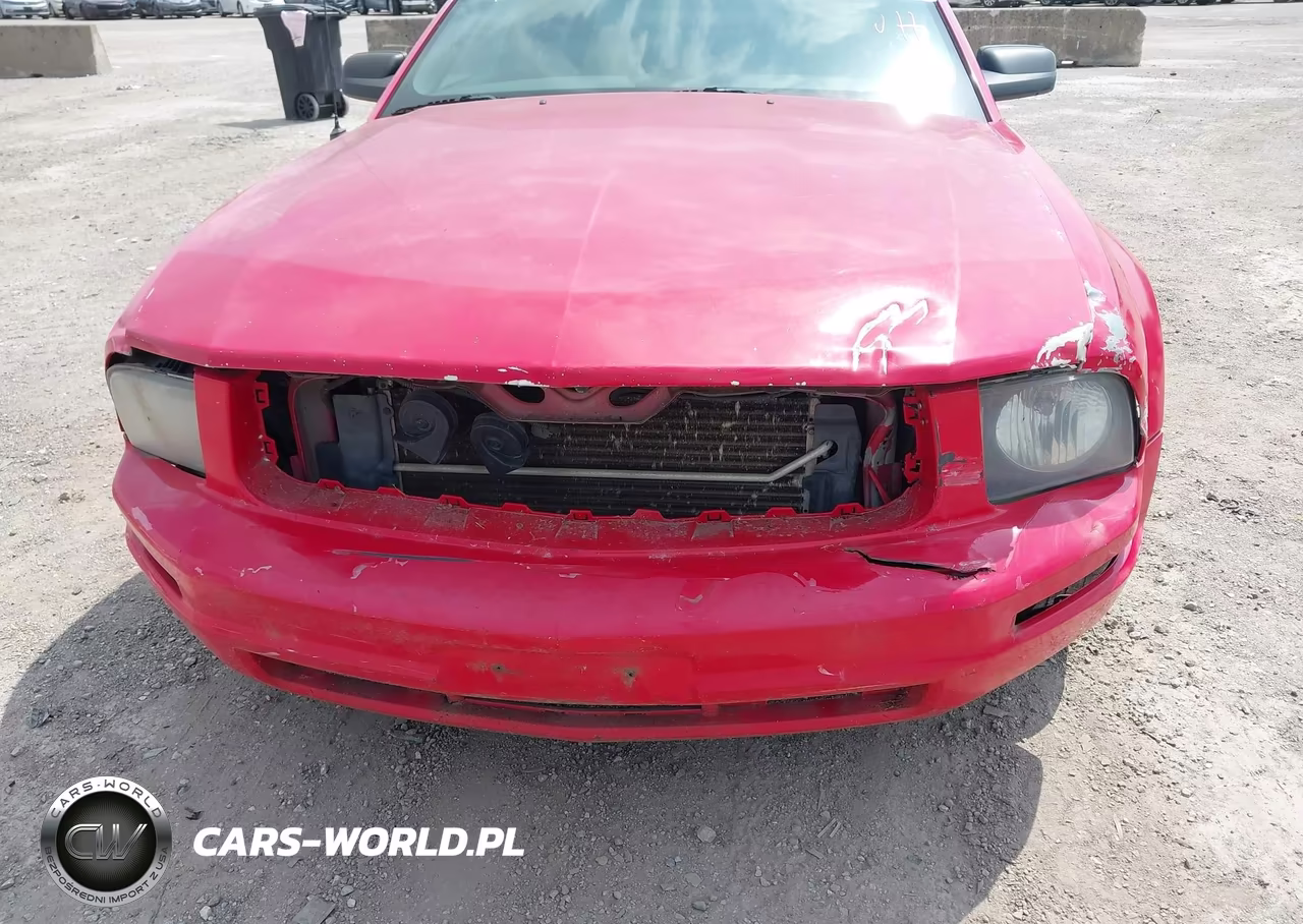 2006 Ford Mustang V6 VIN:1ZVFT84N665189140 - 6