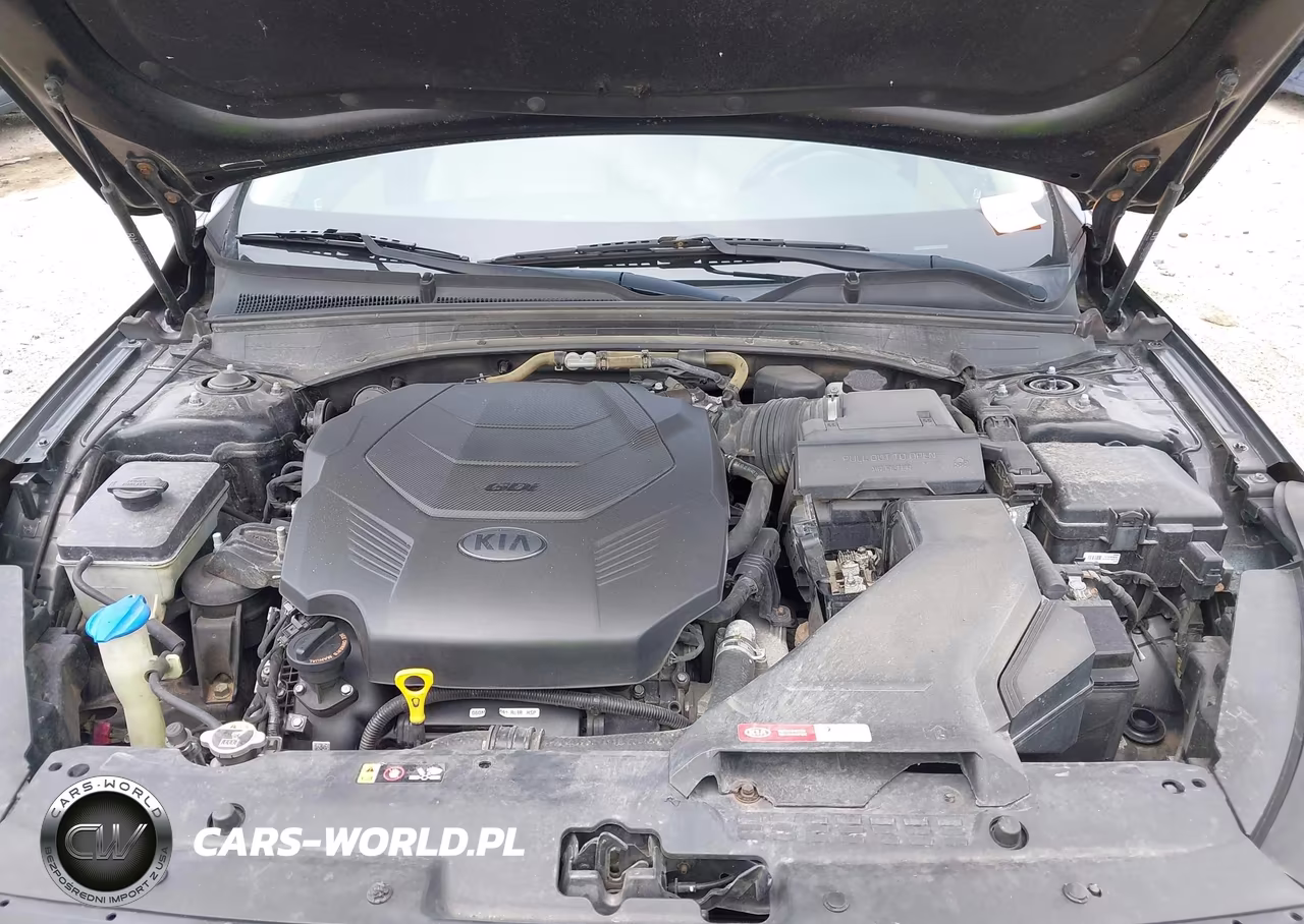 2019 Kia Cadenza Technology VIN:KNALC4J15K5174247 - 10