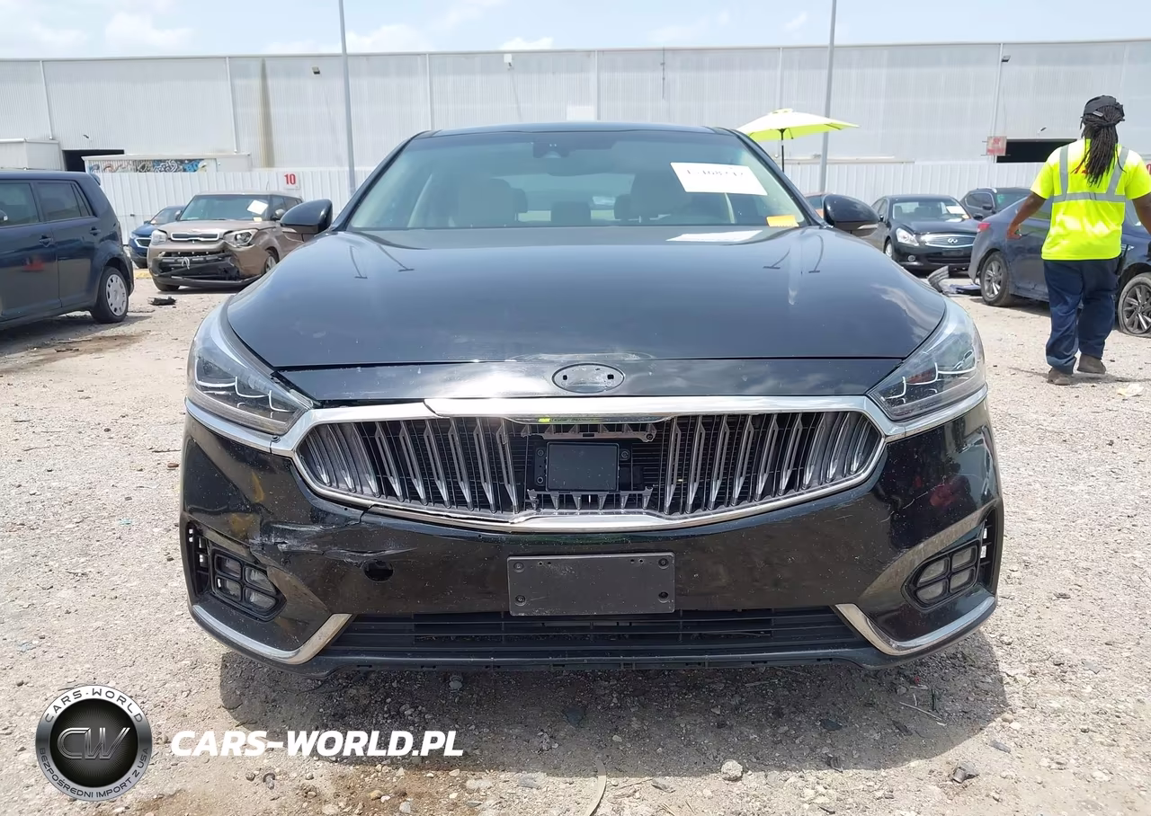 2019 Kia Cadenza Technology VIN:KNALC4J15K5174247 - 12