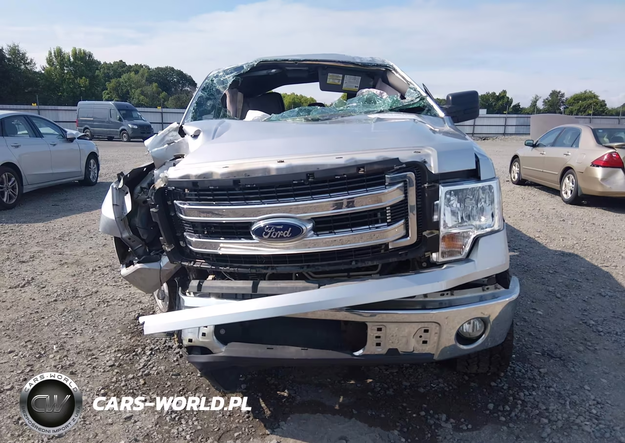 2014 Ford F-150 Xlt VIN:1FTFX1CF5EFD14176 - 12