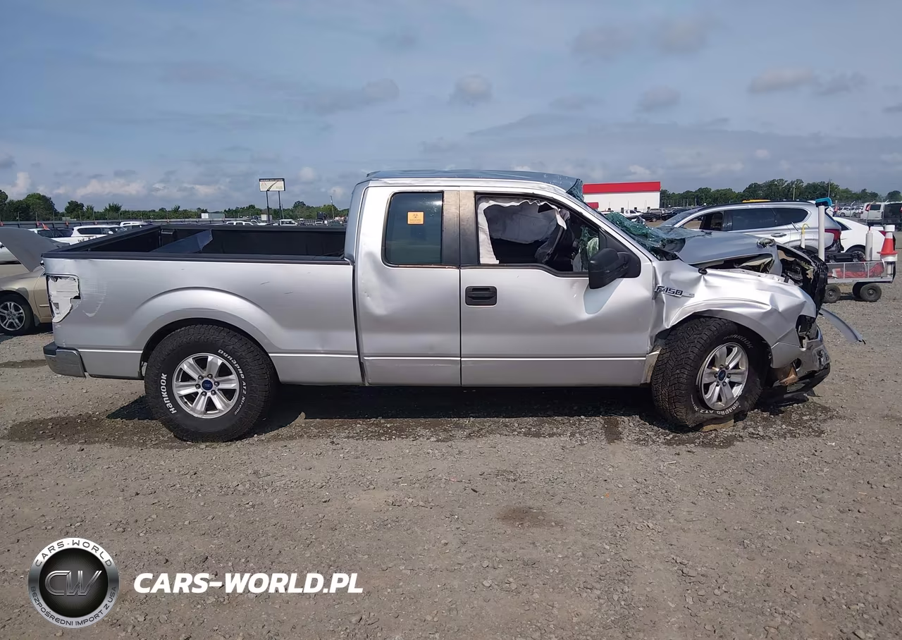 2014 Ford F-150 Xlt VIN:1FTFX1CF5EFD14176 - 13