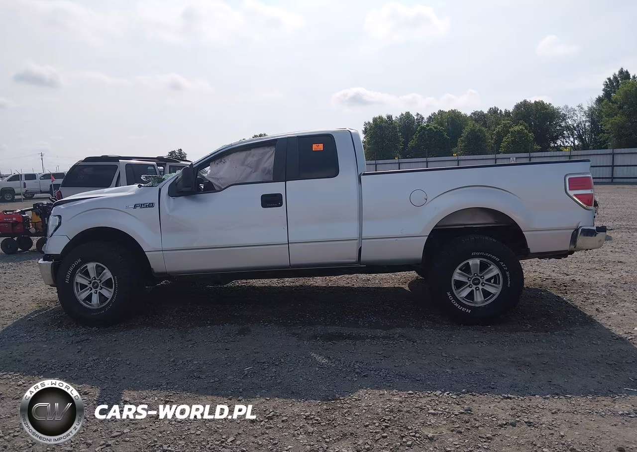 2014 Ford F-150 Xlt VIN:1FTFX1CF5EFD14176 - 14