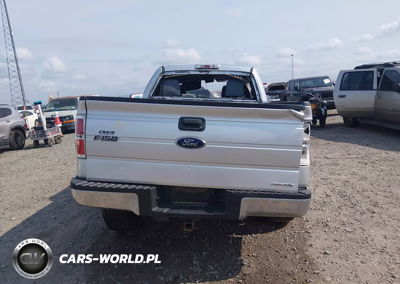 2014 Ford F-150 Xlt VIN:1FTFX1CF5EFD14176 - 16