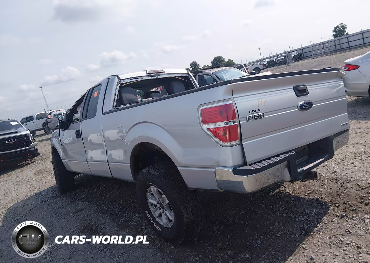 2014 Ford F-150 Xlt VIN:1FTFX1CF5EFD14176 - 3