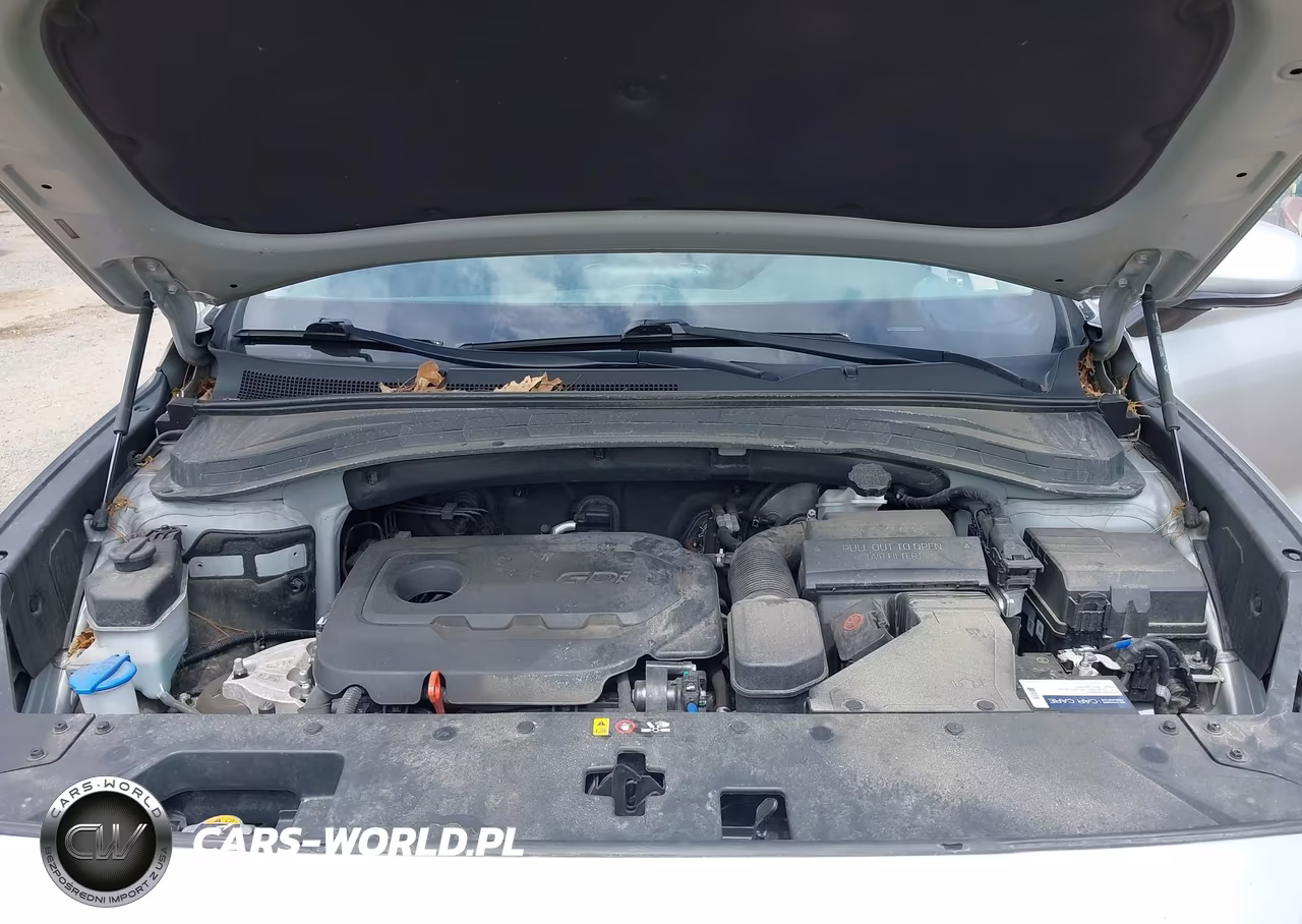 2020 Hyundai Santa Fe Sel VIN:5NMS3CAD7LH208593 - 10
