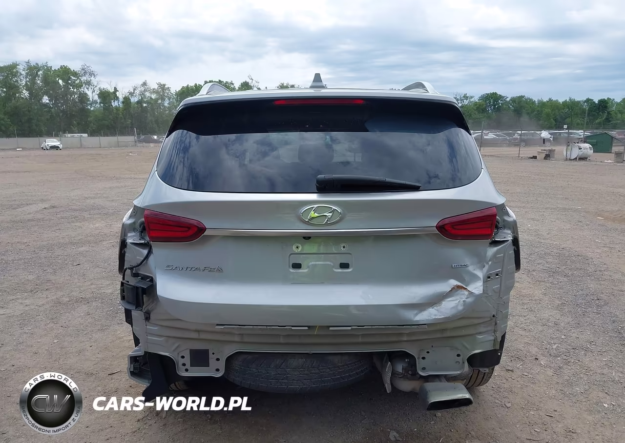 2020 Hyundai Santa Fe Sel VIN:5NMS3CAD7LH208593 - 17
