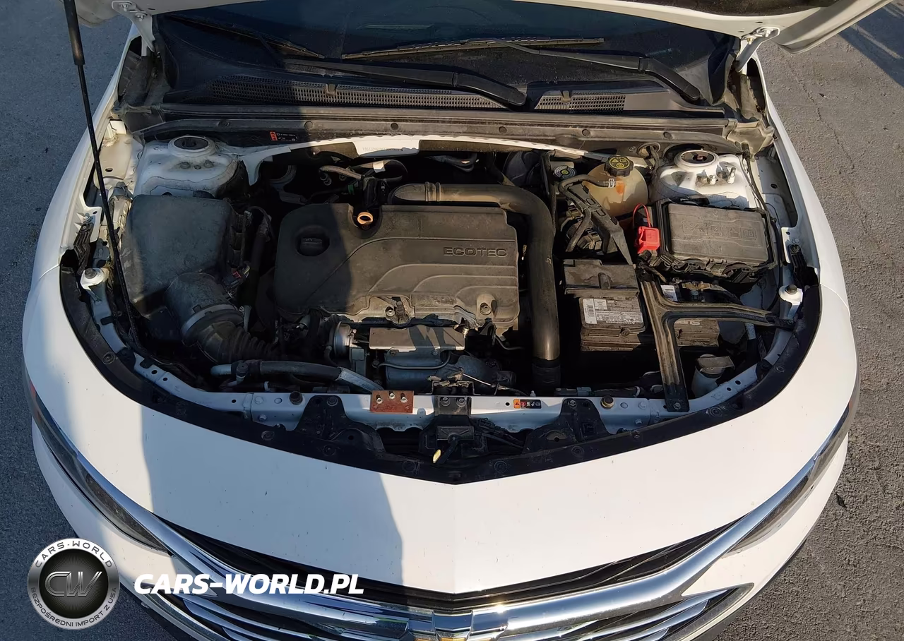 2020 Chevrolet Malibu Fwd Lt VIN:1G1ZD5ST9LF024386 - 10