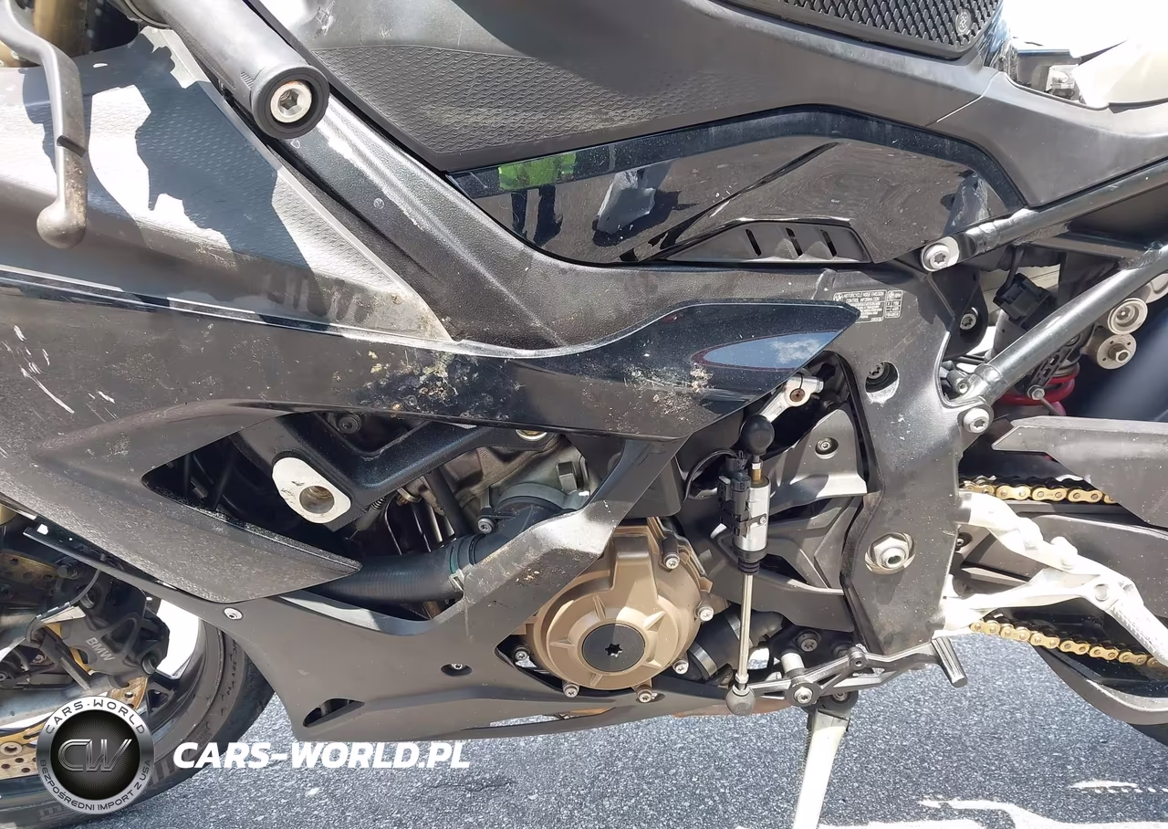 2021 BMW S 1000 Rr VIN:WB10E2305M6D65186 - 9