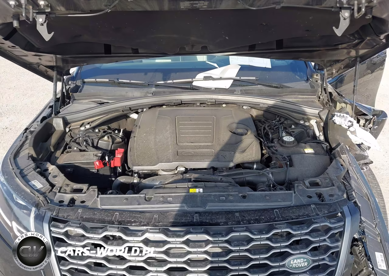 2019 Land Rover Range Rover Velar P250 R-Dynamic Se VIN:SALYL2EX1KA783153 - 10