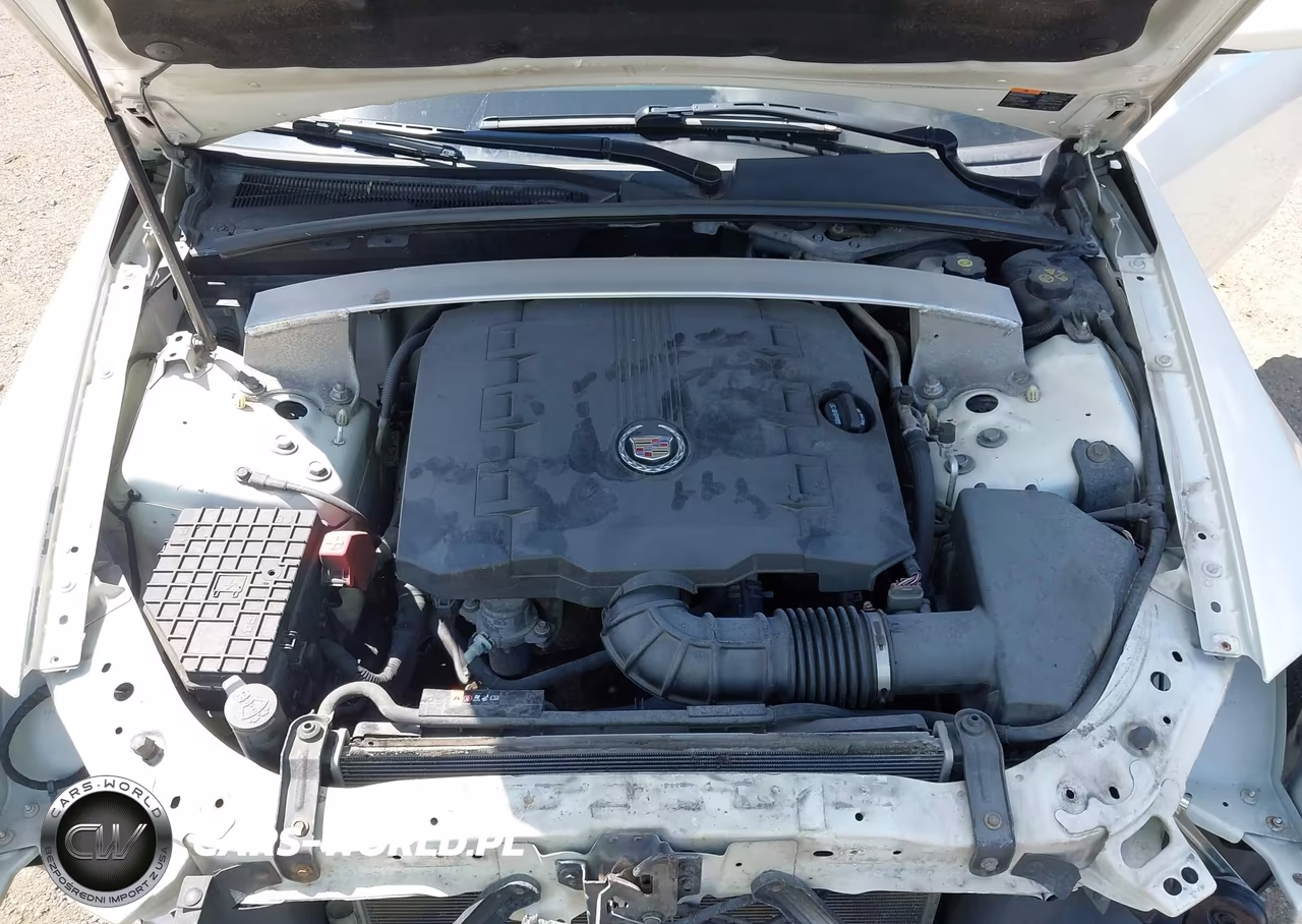 2010 Cadillac Cts Standard VIN:1G6DA5EG3A0141196 - 10