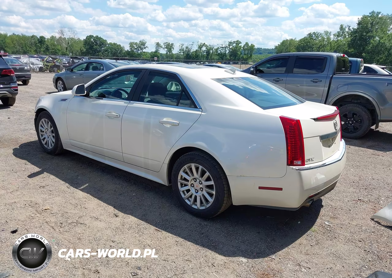 2010 Cadillac Cts Standard VIN:1G6DA5EG3A0141196 - 3