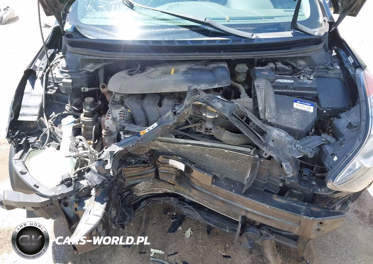 2013 Hyundai Elantra Limited VIN:KMHDH4AE0DU539062 - 10