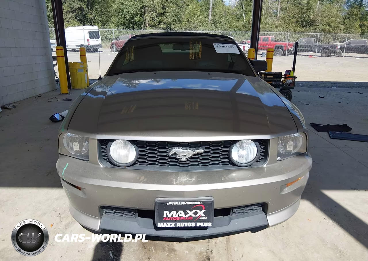 2009 Ford Mustang Gt VIN:1ZVHT85H895121587 - 13