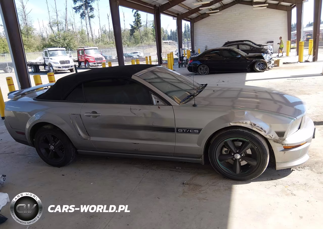2009 Ford Mustang Gt VIN:1ZVHT85H895121587 - 14