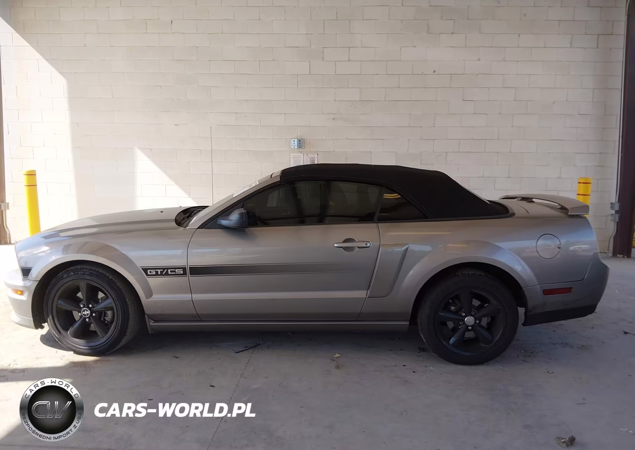 2009 Ford Mustang Gt VIN:1ZVHT85H895121587 - 15